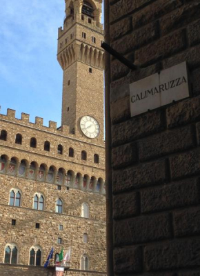 Olga's House Florence